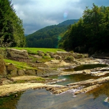 Selva de Irati